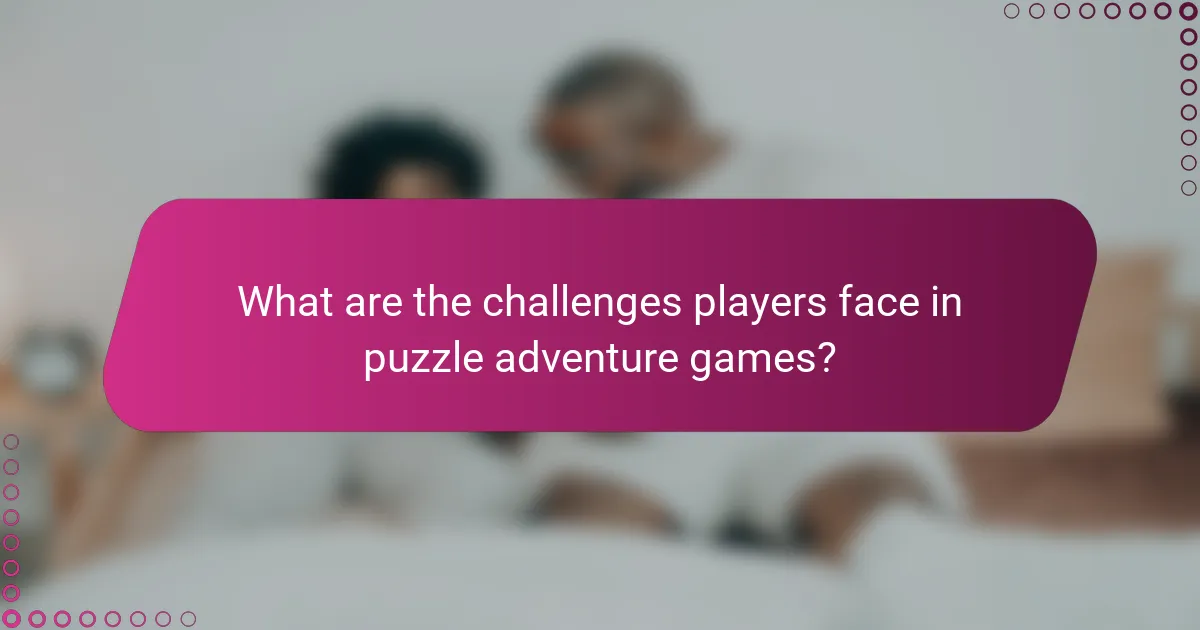 What are the challenges players face in puzzle adventure games?