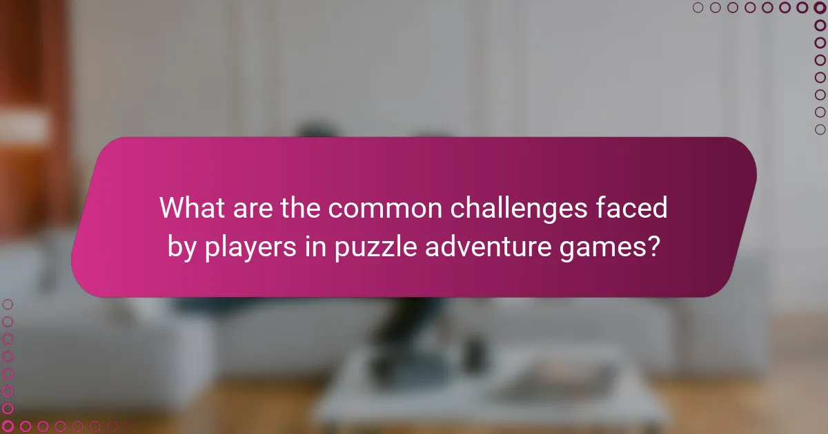 What are the common challenges faced by players in puzzle adventure games?