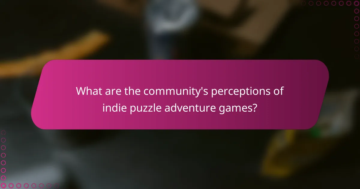 What are the community's perceptions of indie puzzle adventure games?