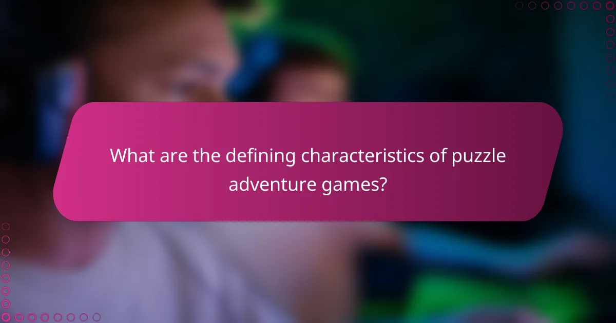 What are the defining characteristics of puzzle adventure games?
