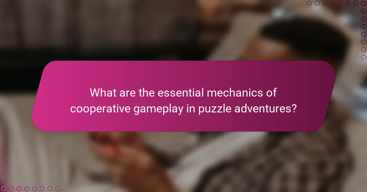 What are the essential mechanics of cooperative gameplay in puzzle adventures?