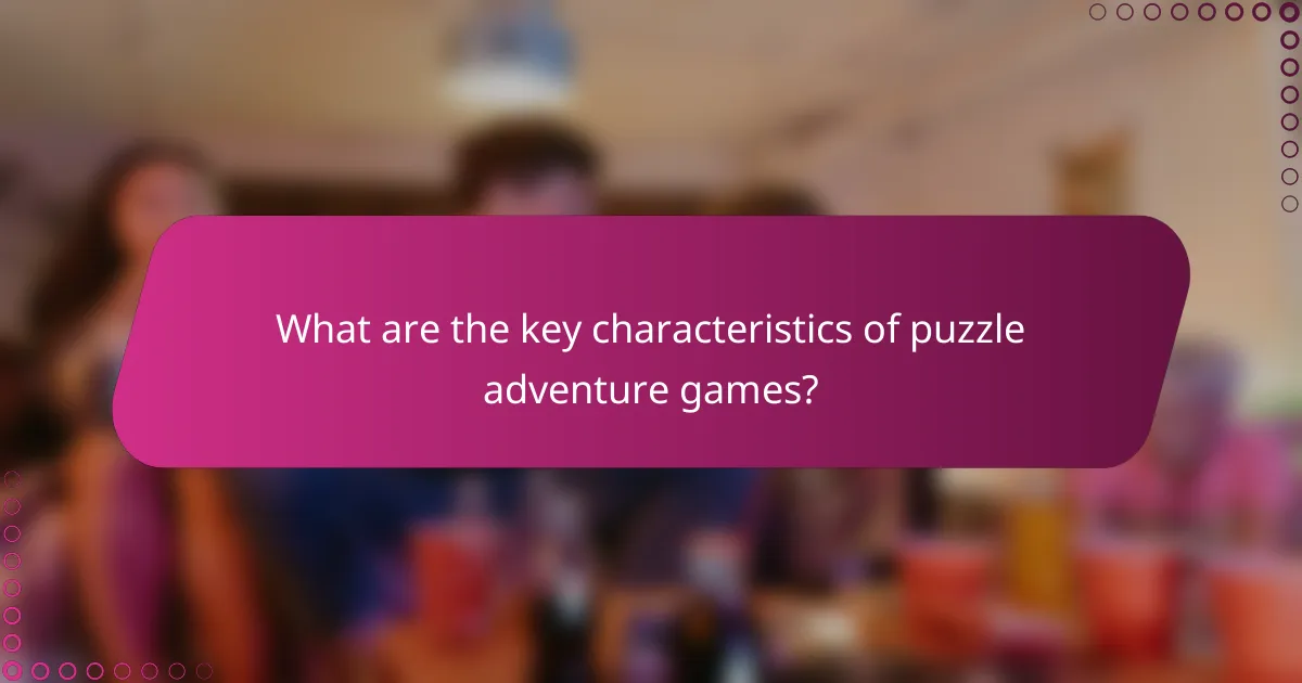 What are the key characteristics of puzzle adventure games?