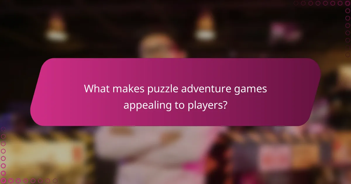 What makes puzzle adventure games appealing to players?